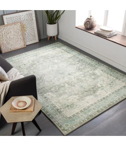 Livabliss Erin ERN2309 Cream Medium Gray Area Rug 2 ft. X 3 ft. Rectangle