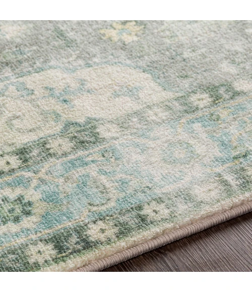 Livabliss Erin ERN-2309 2  x 3  Rug