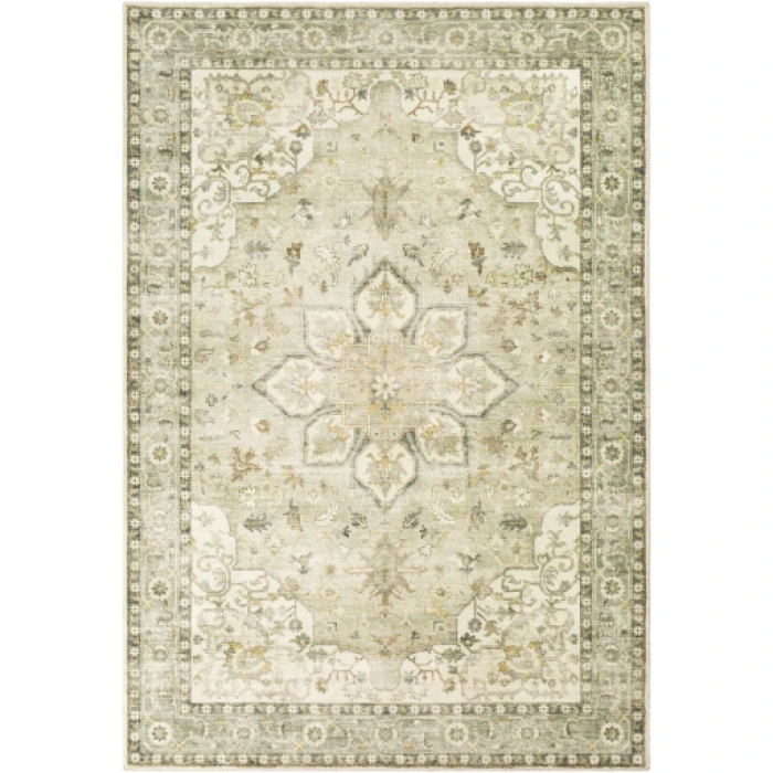 Livabliss Erin ERN-2310 2 6 x 4  Rug