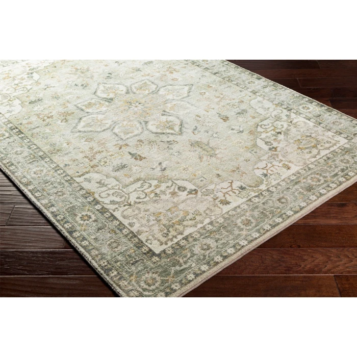 Livabliss Erin ERN-2310 2 6 x 4  Rug