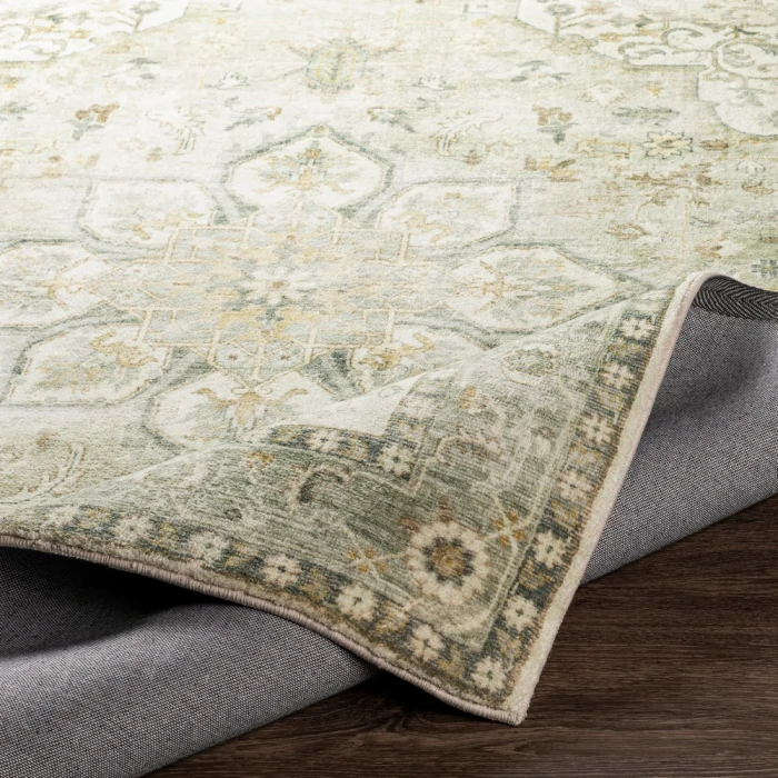 Livabliss Erin ERN-2310 2 6 x 4  Rug