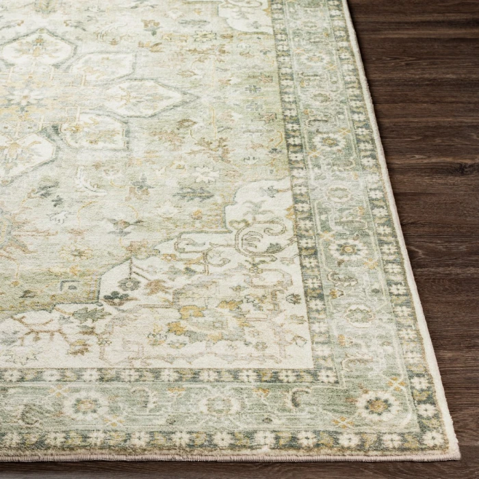 Livabliss Erin ERN-2310 2 6 x 4  Rug