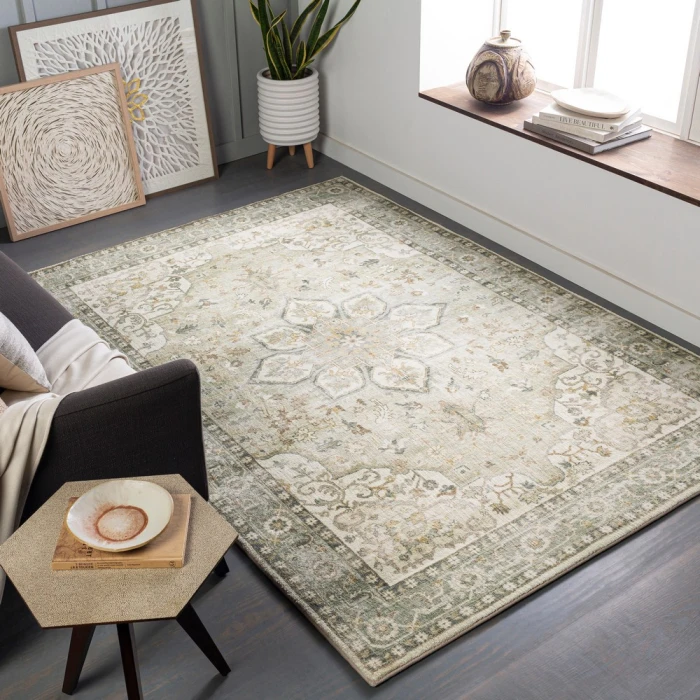 Livabliss Erin ERN-2310 2 6 x 4  Rug