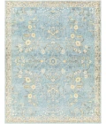 Livabliss Erin ERN-2311 7 6 x 9 6 Rug