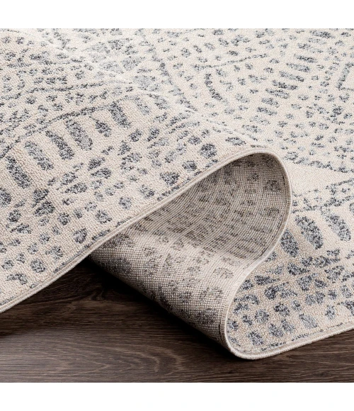 Surya Euphoria ERP-2306 7 10 x 10  Rug