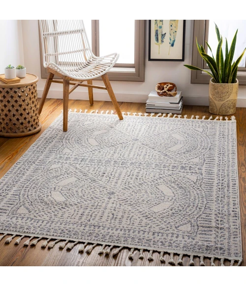 Surya Euphoria ERP-2306 7 10 x 10  Rug