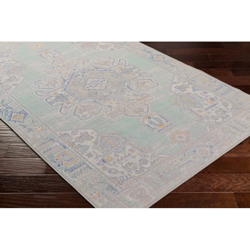 Surya Rafetus ETS-2364 2' x 2'11" Rug