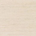 Surya Evora EVO-2301 2  x 3  Rug