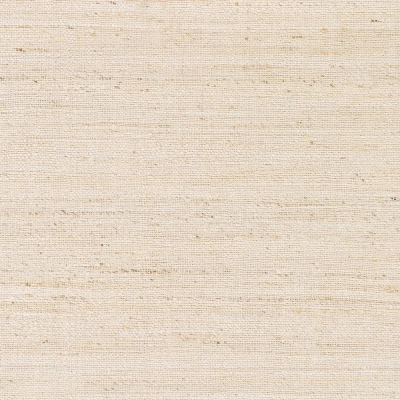 Surya Evora EVO-2301 2  x 3  Rug