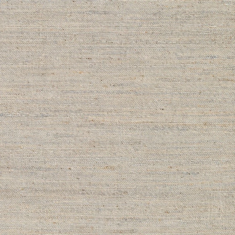Surya Evora EVO-2303 6  x 9  Rug