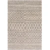 Surya Fez FEZ2300 Taupe Dark Brown Area Rug 2 ft. X 3 ft. Rectangle