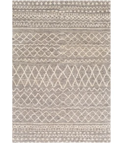 Surya Fez FEZ2300 Taupe Dark Brown Area Rug 2 ft. X 3 ft. Rectangle