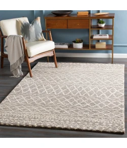 Surya Fez FEZ2300 Taupe Dark Brown Area Rug 2 ft. X 3 ft. Rectangle