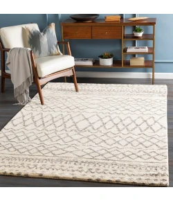 Surya Fez FEZ2301 Cream Taupe Area Rug 2 ft. X 3 ft. Rectangle