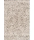 Surya Falcon FLC-8000-4x6 rug