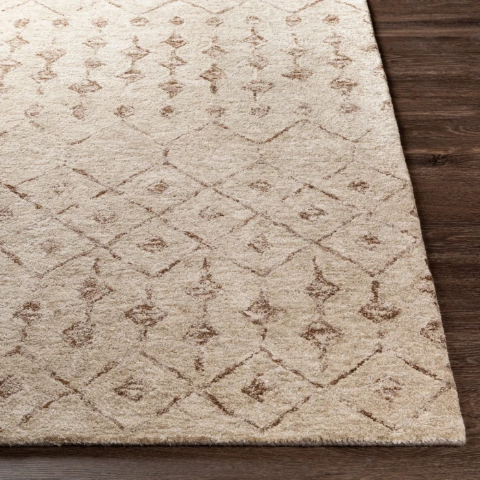 Surya Falcon FLC-8012 2  x 3  Rug
