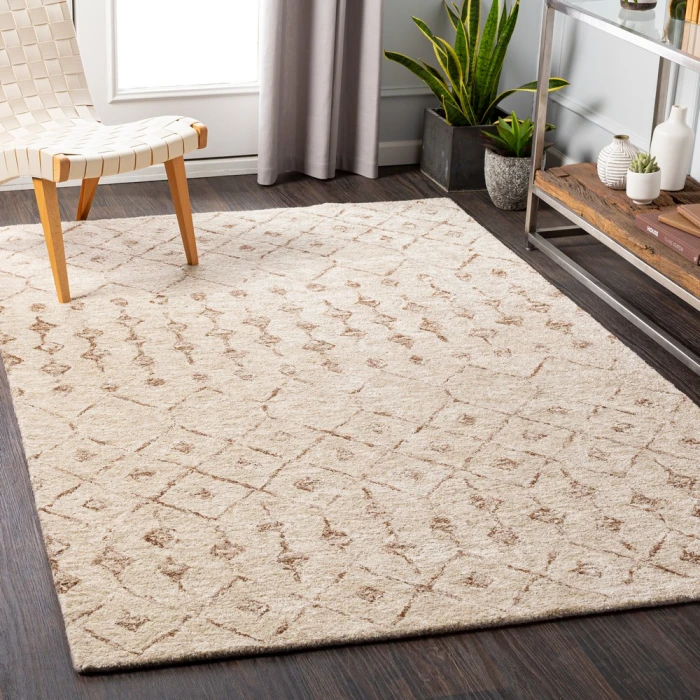 Surya Falcon FLC-8012 2  x 3  Rug