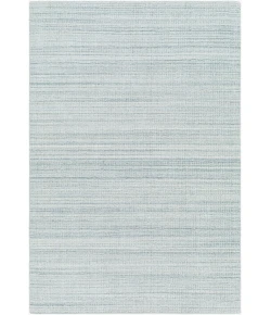 Surya Fresno FNO2304 Pale Blue Area Rug 5 ft. X 7 ft. 6 in. Rectangle