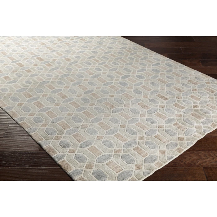 Surya Florentine FNT-1002-2x3 rug