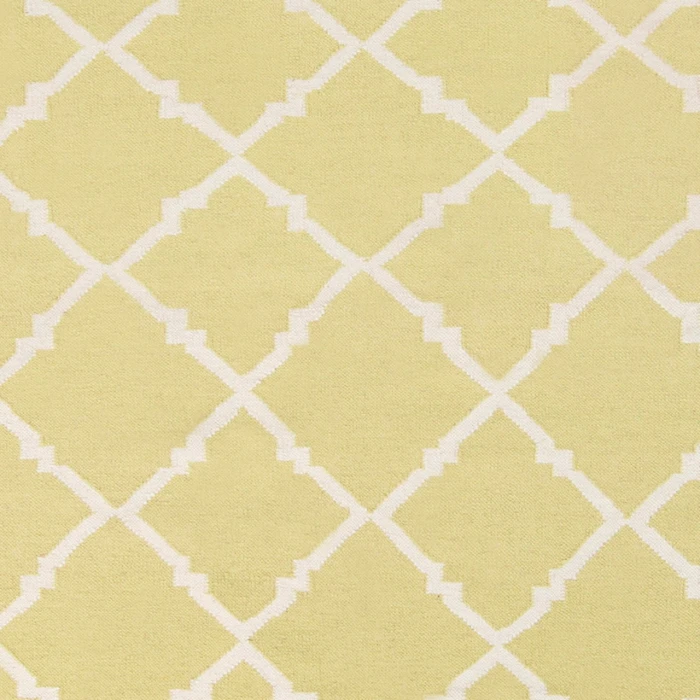 Surya Frontier FT-220-2x3 rug