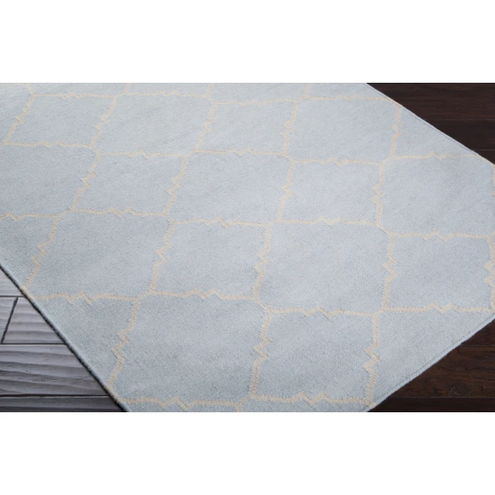 Surya Frontier FT-40-2x3 rug