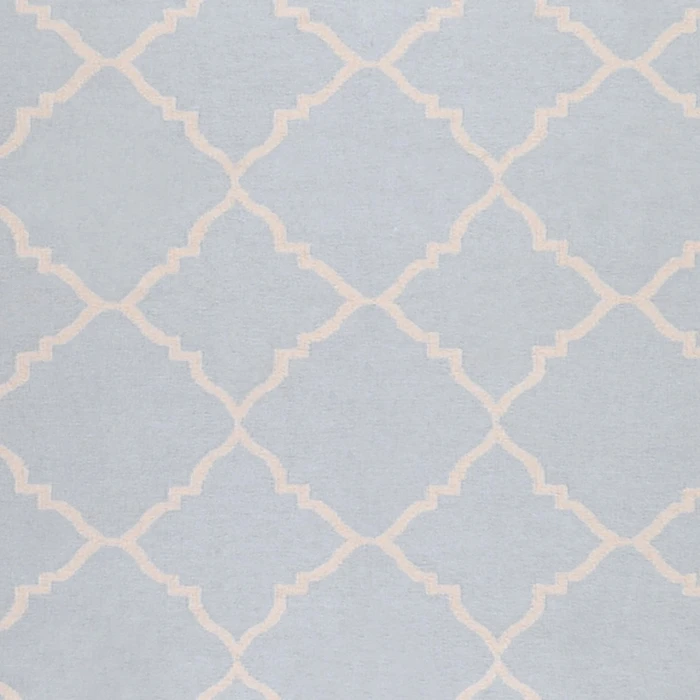 Surya Frontier FT-40-2x3 rug