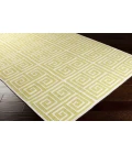 Surya Frontier FT-416-2x3 rug