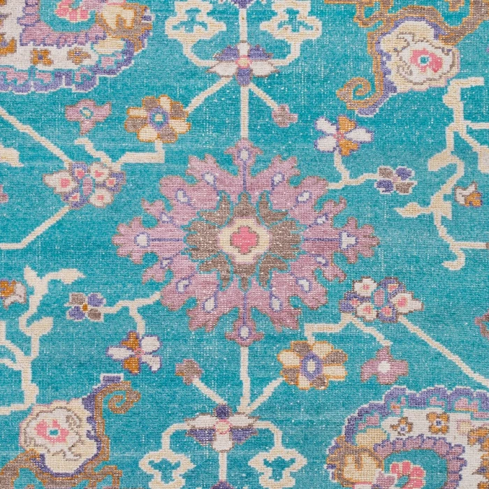 Surya Gorgeous GGS-1007-6x9 rug