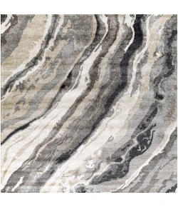 Surya Gemini GMN4034 Charcoal Medium Gray Area Rug 8 ft. Square