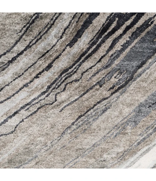 Surya Gemini GMN-4052-5x8 rug