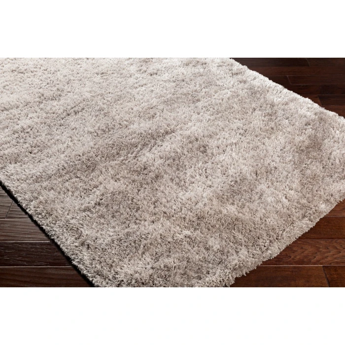 Surya Grizzly GRIZZLY-10-2x3 rug