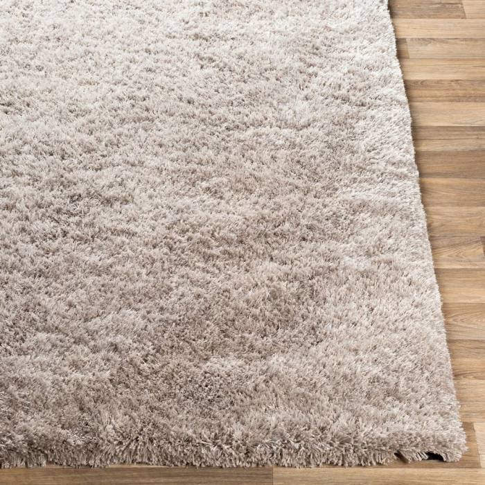 Surya Grizzly GRIZZLY-10-2x3 rug