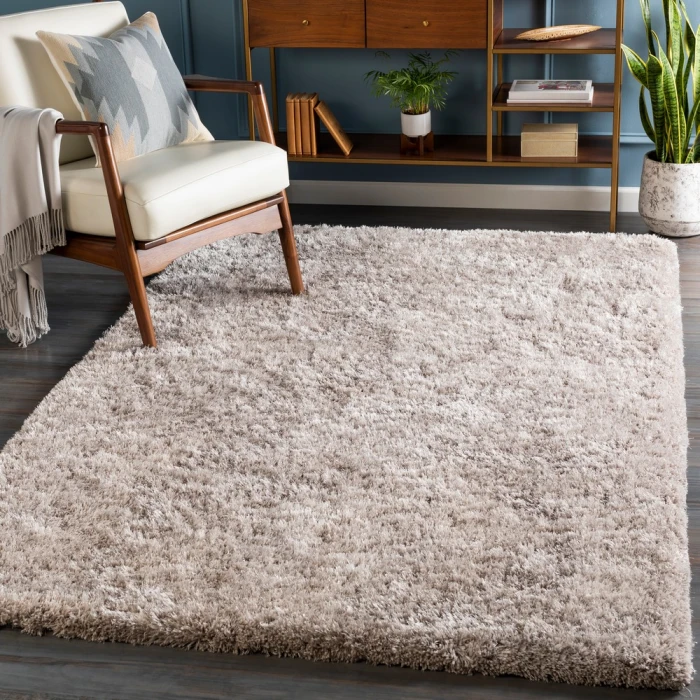 Surya Grizzly GRIZZLY-10-2x3 rug