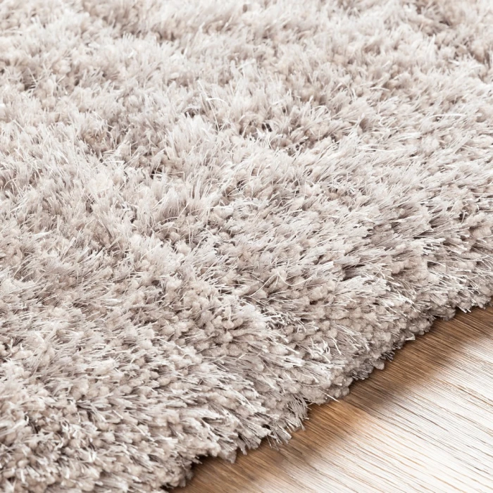 Surya Grizzly GRIZZLY-10-2x3 rug