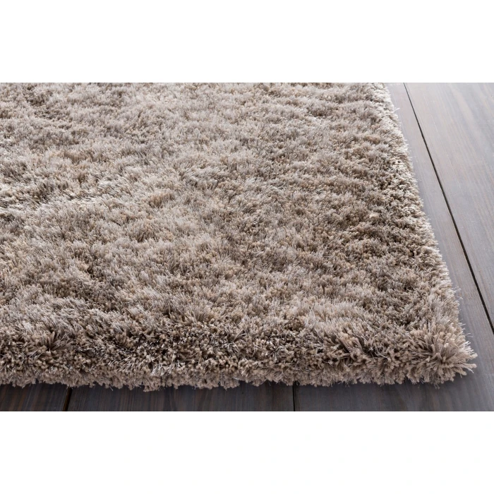 Surya Grizzly GRIZZLY-6-2x3 rug