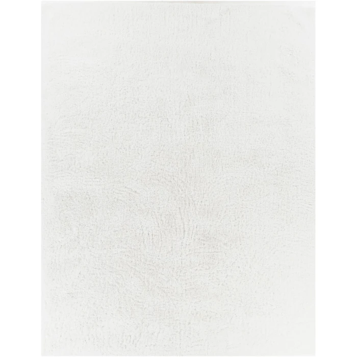 Surya Grizzly GRIZZLY-9-8x10 rug