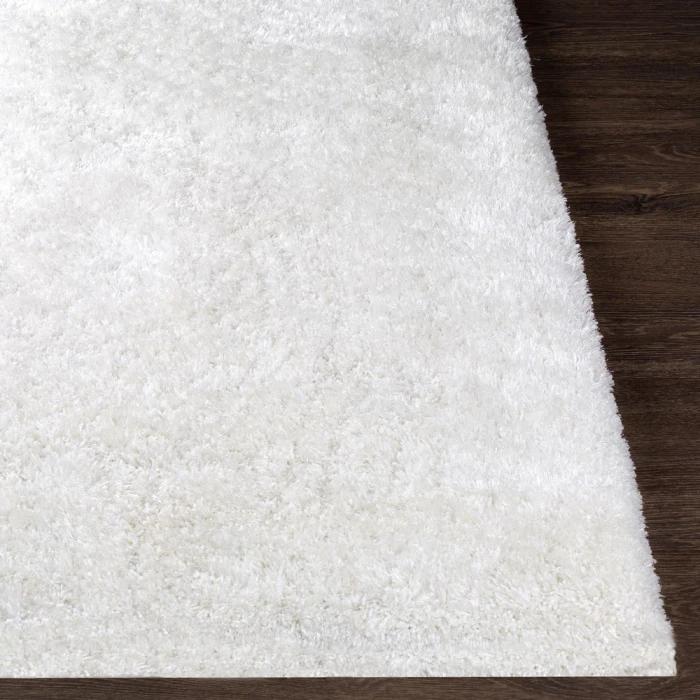 Surya Grizzly GRIZZLY-9-2x3 rug