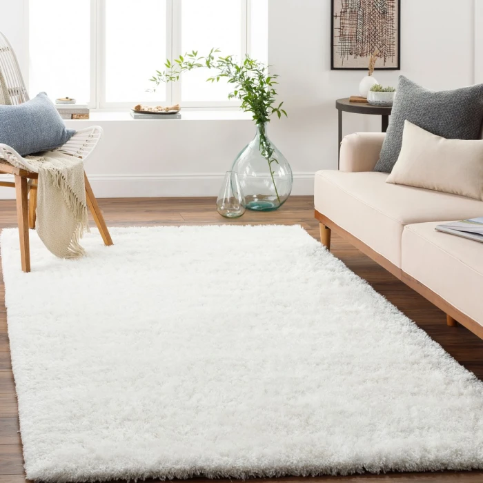 Surya Grizzly GRIZZLY-9-2x3 rug