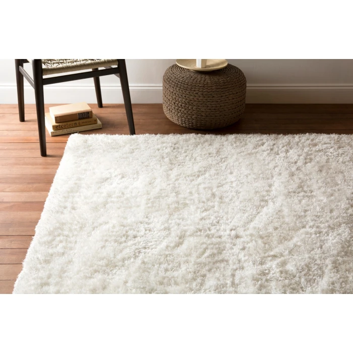 Surya Grizzly GRIZZLY-9-2x3 rug