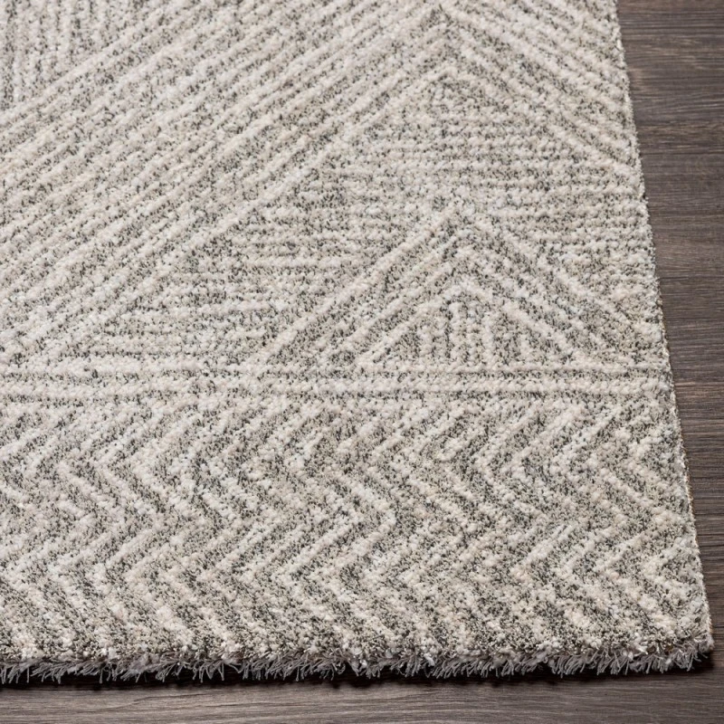 Surya Gavic GVC-2300 2  x 3  Rug