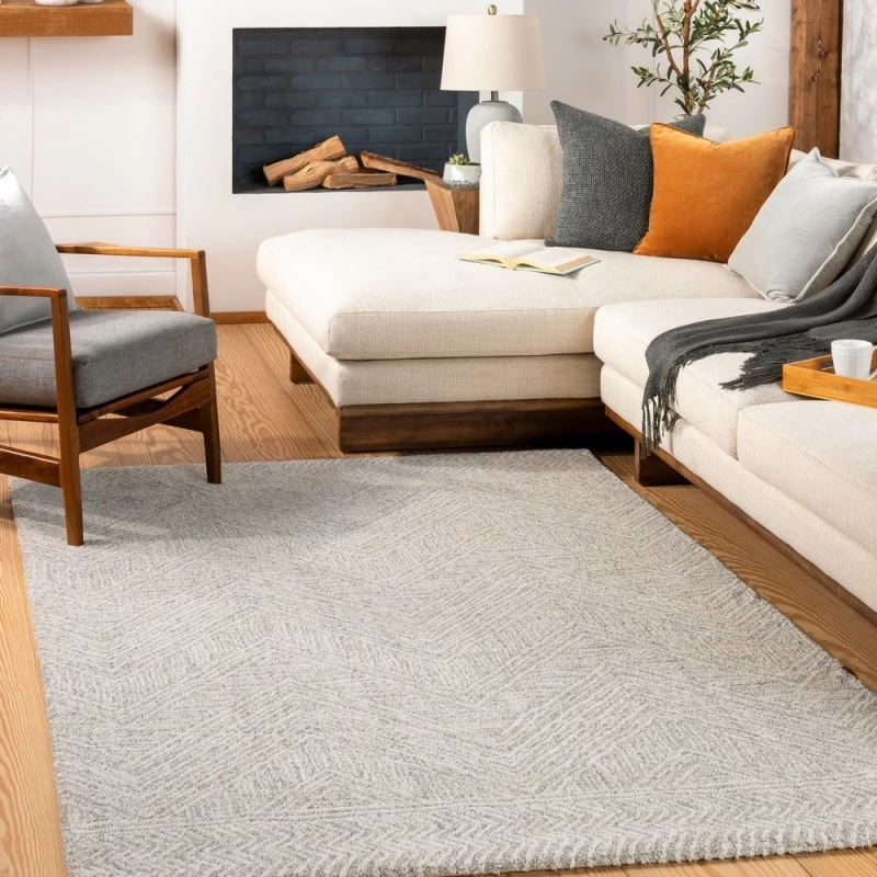 Surya Gavic GVC-2300 2  x 3  Rug