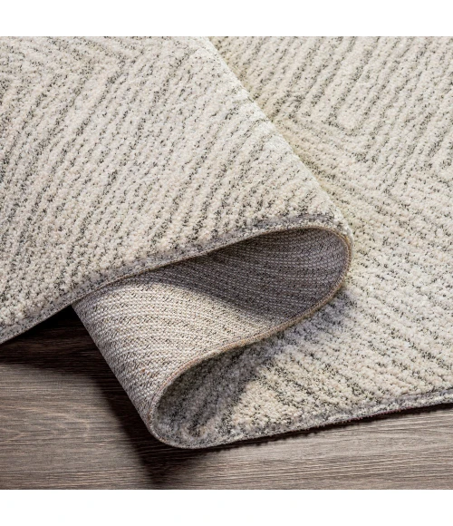 Surya Gavic GVC-2302 4 3 x 5 11 Rug