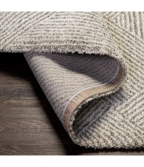 Surya Gavic GVC-2304 7 10 x 10  Rug