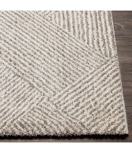 Surya Gavic GVC-2304 7 10 x 10  Rug