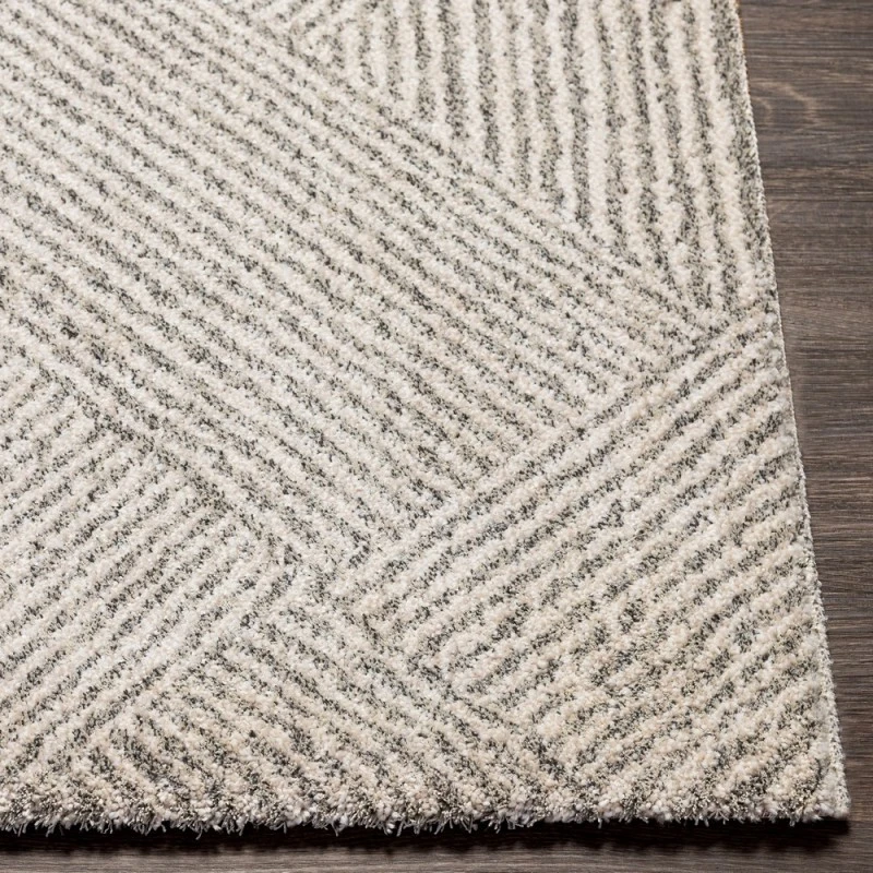 Surya Gavic GVC-2304 4 3 x 5 11 Rug