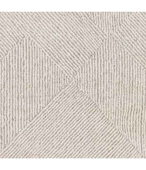 Surya Gavic GVC-2304 7 10 x 10  Rug