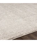 Surya Gavic GVC-2304 7 10 x 10  Rug