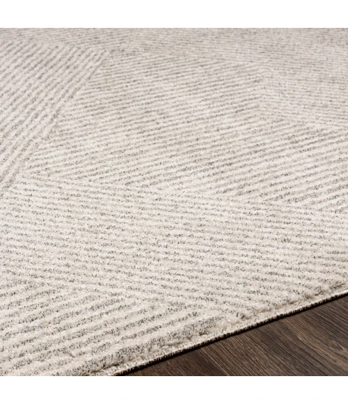 Surya Gavic GVC-2304 7 10 x 10  Rug