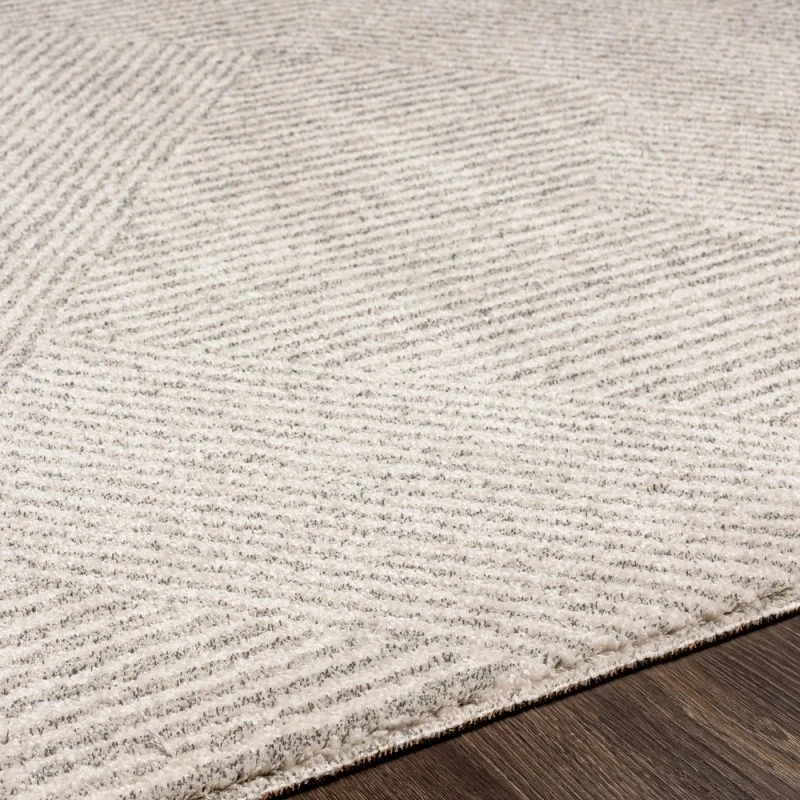 Surya Gavic GVC-2304 4 3 x 5 11 Rug