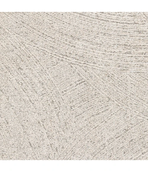 Surya Gavic GVC-2307 7 10 x 10  Rug